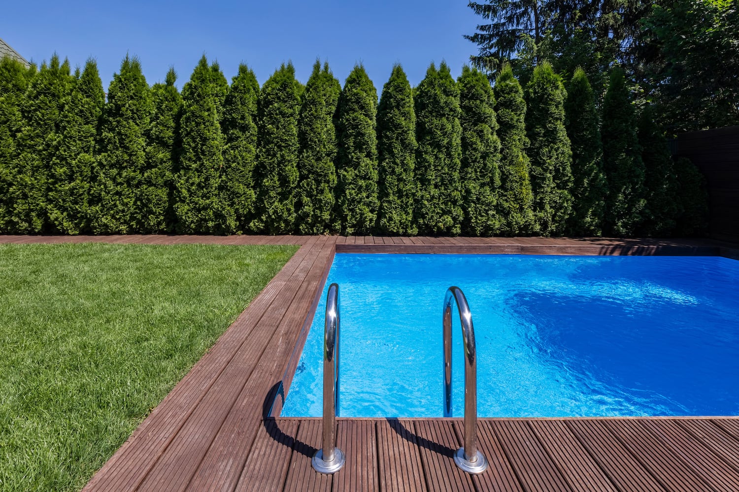 Pool fence ideas with plants as a disguise 